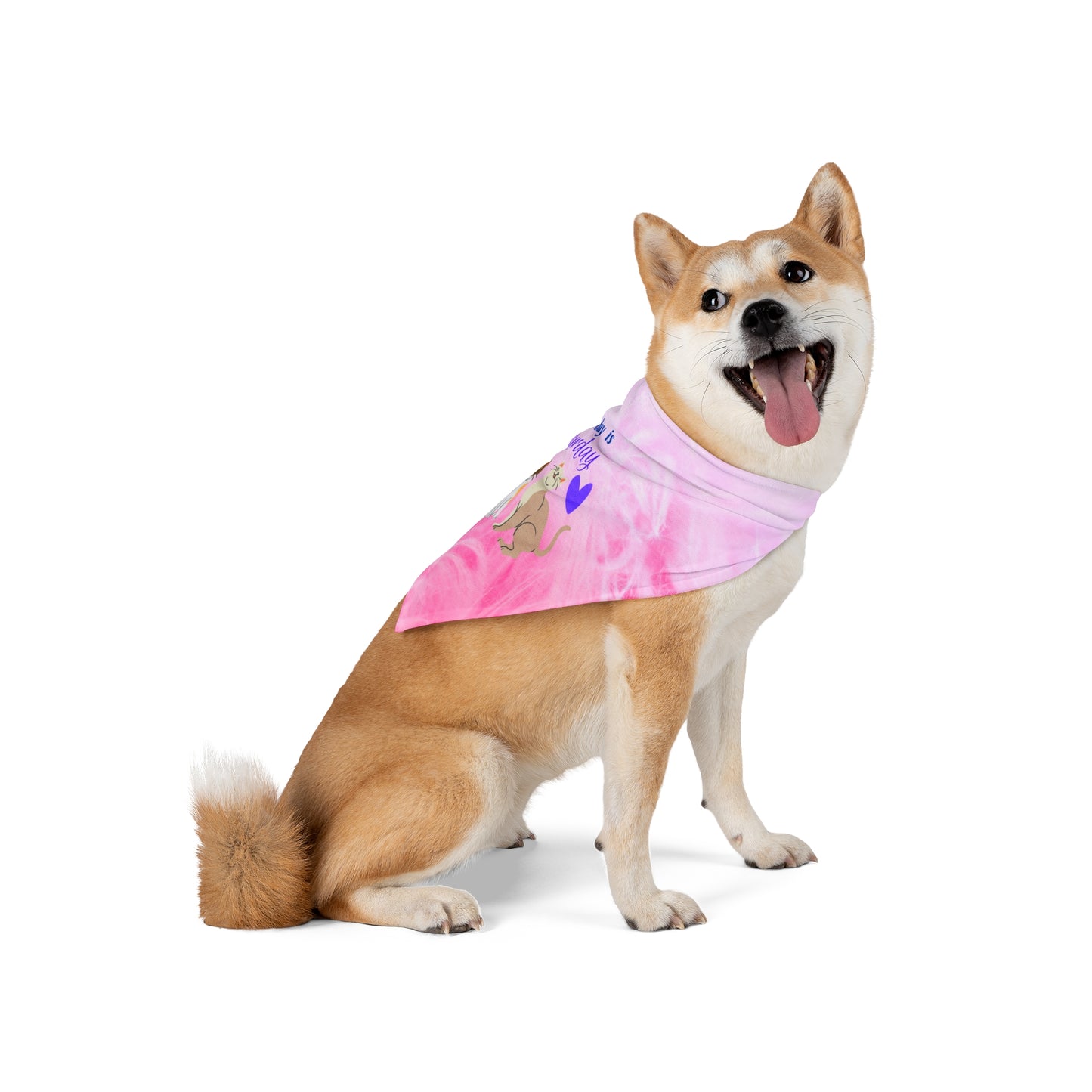 Hot Pink "Every day is Caturday" Party Pet Bandana, Animal Lover Dog Cat Mom Gift