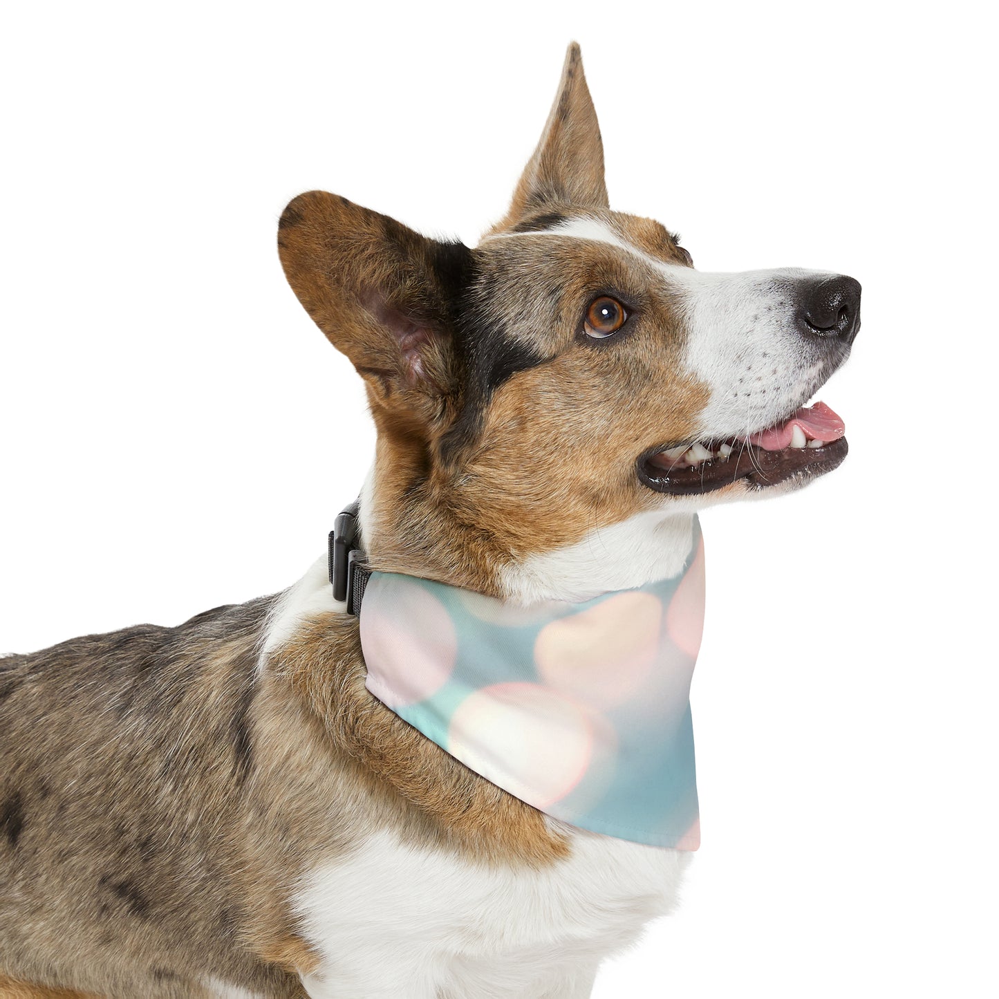 Cute "Pup on Patrol" Pet Bandana COLLAR, Decorative Sublimation Design, Pet Lover Dog Mom Gift, Easy On & Off Buckle, 4 Sizes