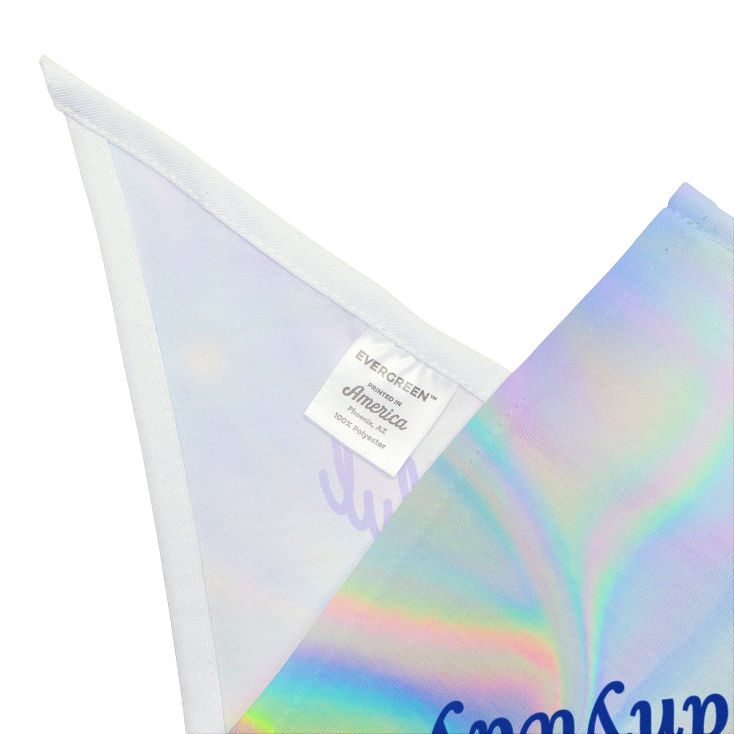 Whimsical "I Know I'm Beautiful" Pet Bandana, Blue Purplish Style, Dog Mom Cat Lady Gift