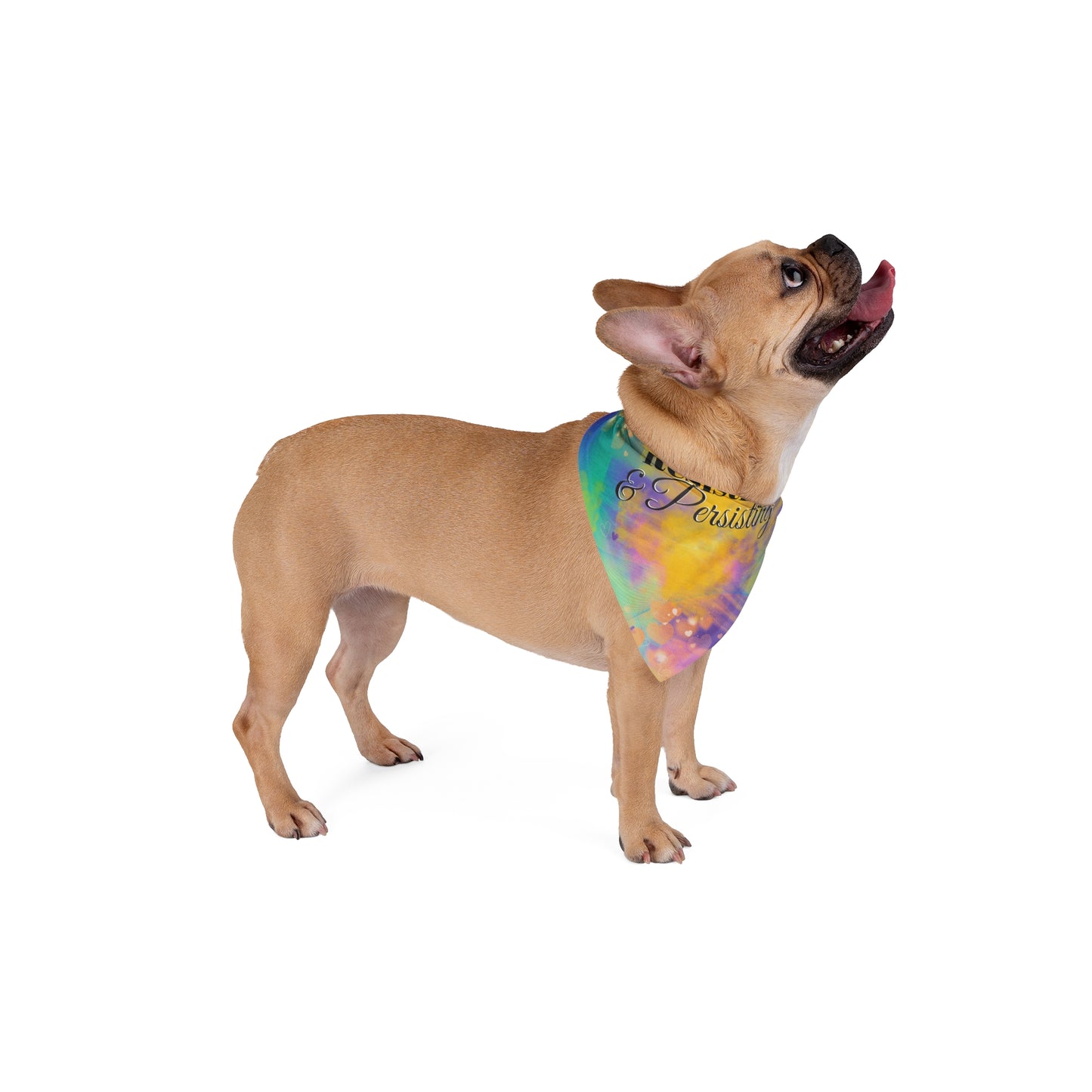 Purple Multicolored PoliticalPups Pet Bandana With "Persisting & Resisting" Protest Slogan, Pretty & Perfect For Peacefully Protesting Dogs Who March With Their Peeps In Anti-Fascism Pro-Democracy Events
