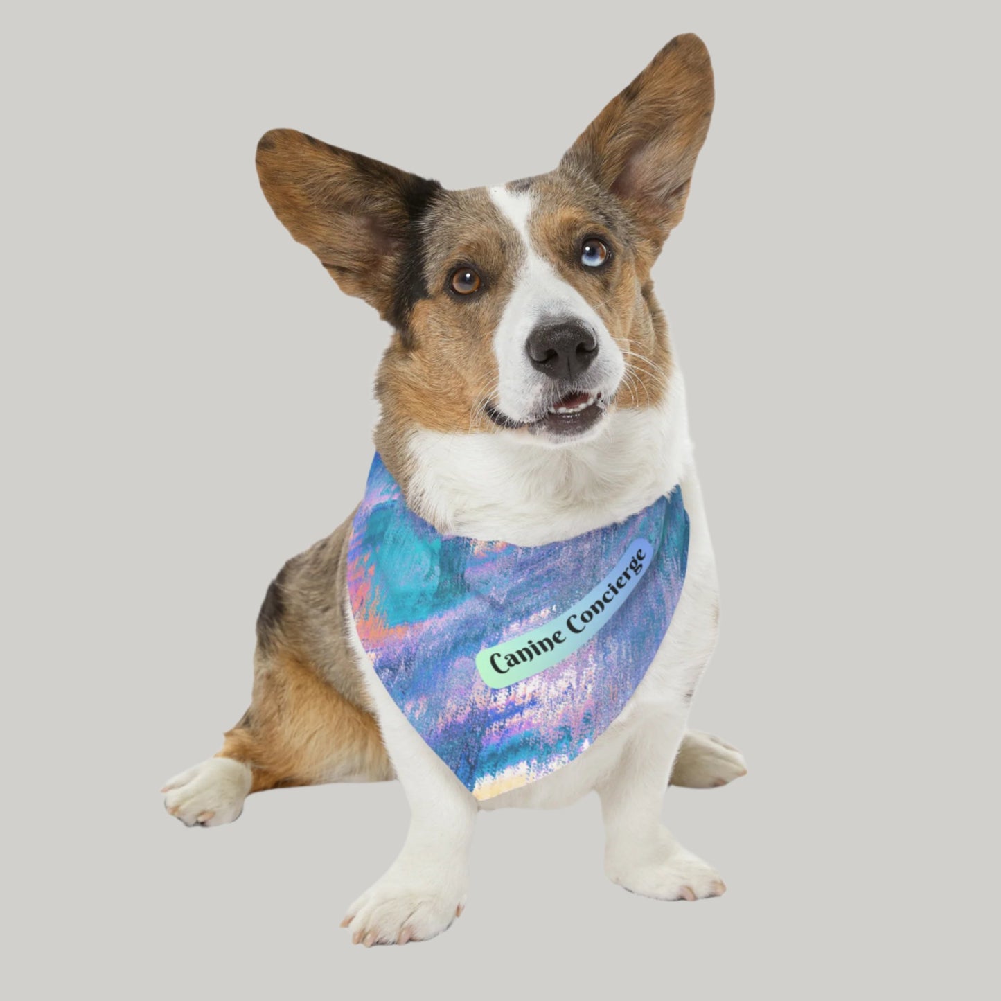 Colorful Blue-Hued Bandana COLLAR with Fun "Canine Concierge" Slogan, Great Animal Lover Dog Mom Gift, Easy On-Off Buckle, 4 Sizes