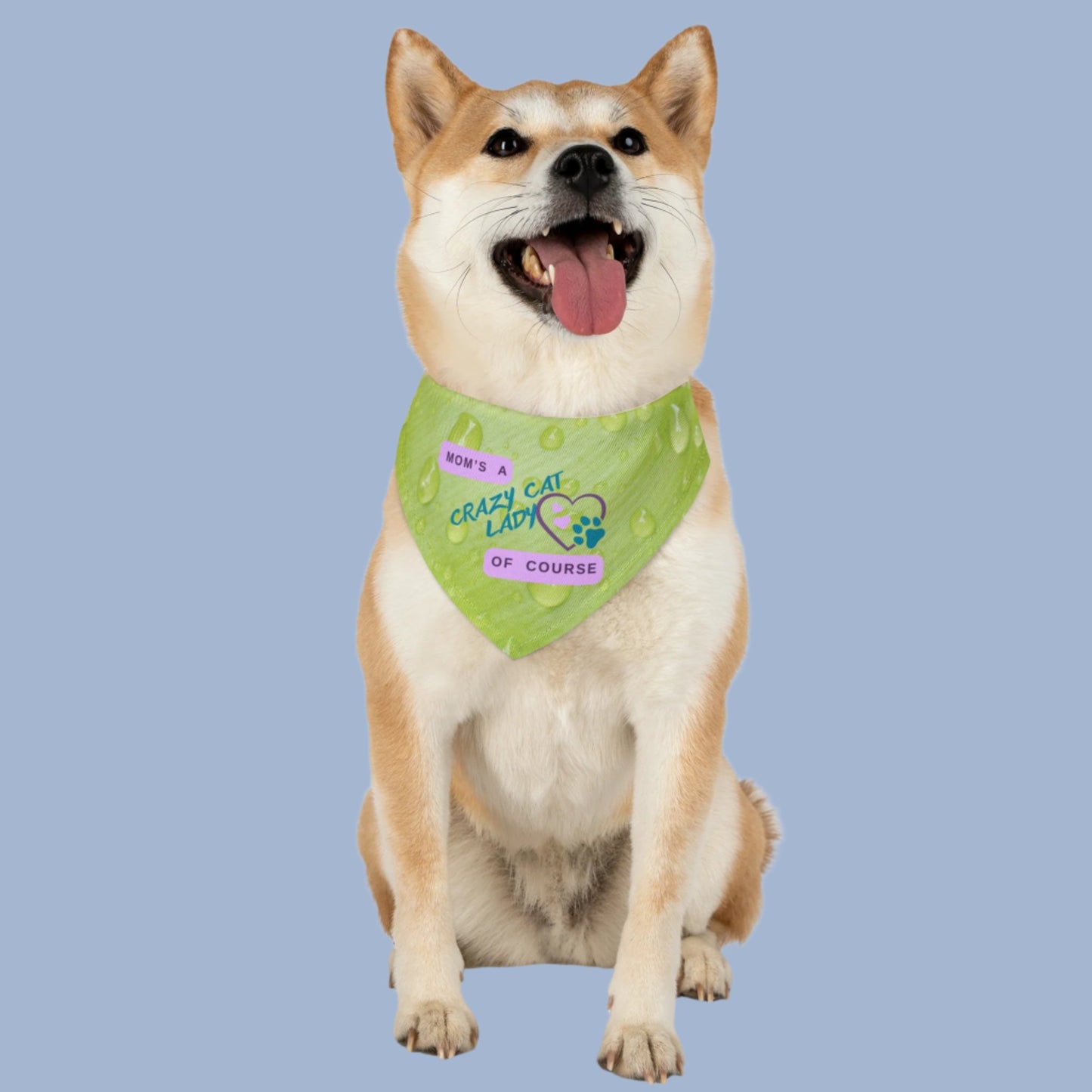 Playful Lime Green Bandana COLLAR with "Mom's A Crazy Cat Lady" Slogan, CatLady Dog Mom Gift, Cat Collar, Easy-On Buckle
