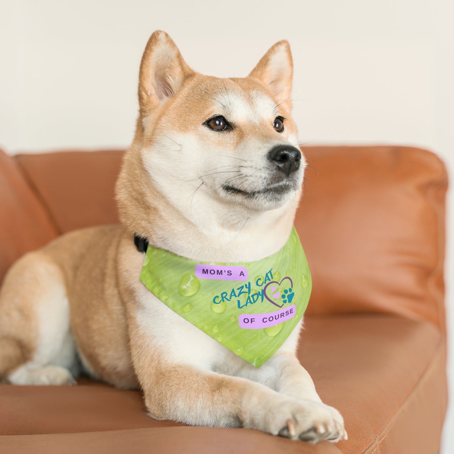 Playful Lime Green Bandana COLLAR with "Mom's A Crazy Cat Lady" Slogan, CatLady Dog Mom Gift, Cat Collar, Easy-On Buckle