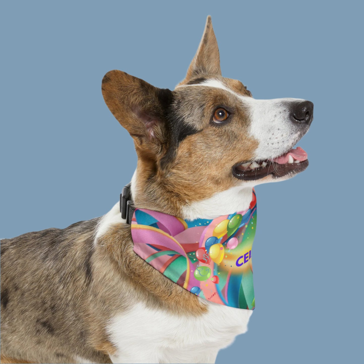 Festive "Celebrate" Bandana COLLAR with Colorful Balloons Design, Dog Cat Partywear, CatLady Dog Mom Birthday Gift