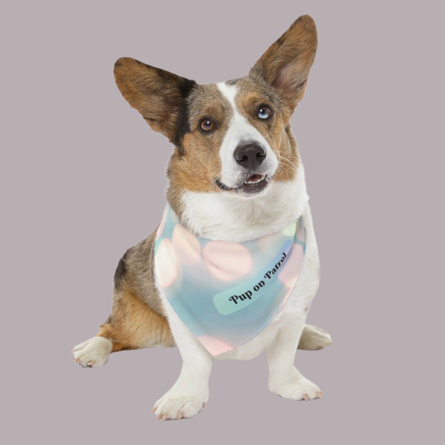 Cute "Pup on Patrol" Pet Bandana COLLAR, Decorative Sublimation Design, Pet Lover Dog Mom Gift, Easy On & Off Buckle, 4 Sizes