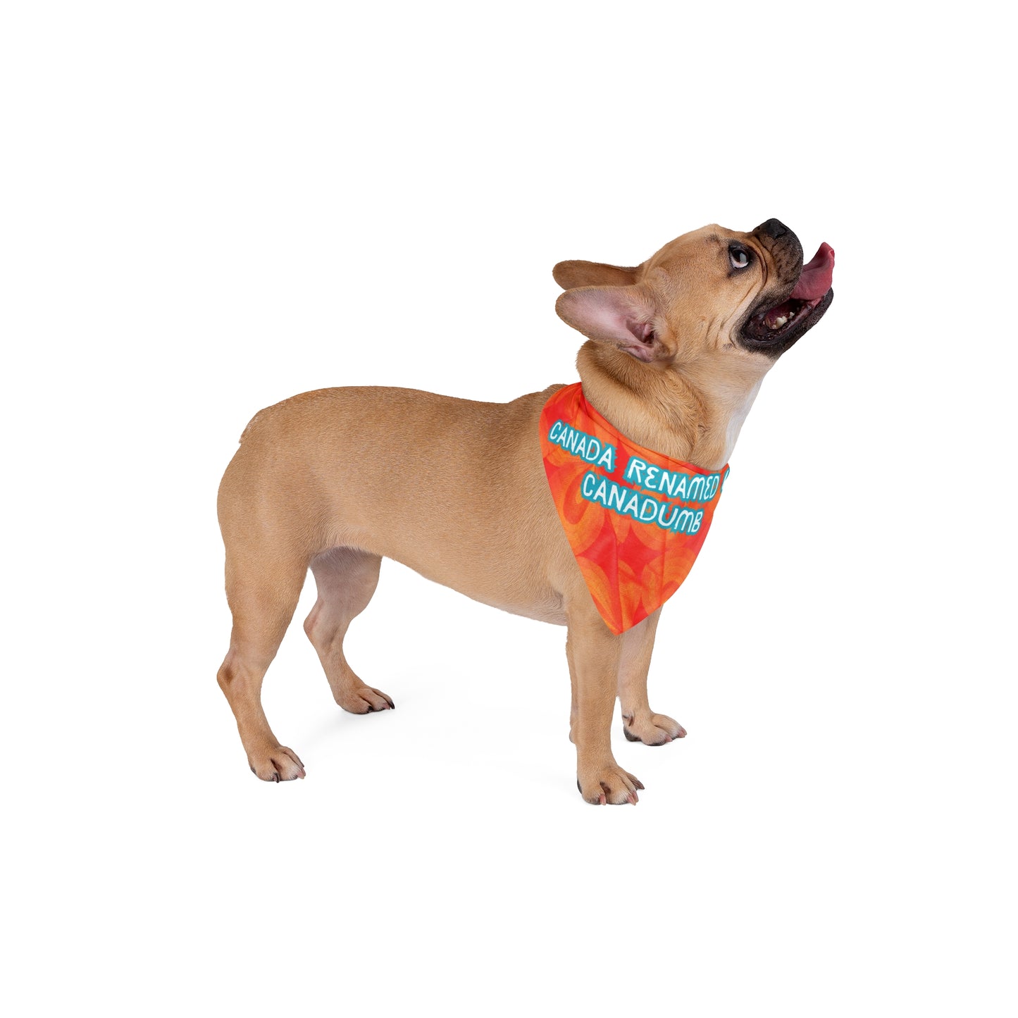 Fun Political Pet Bandana With Humorous "Canadumb" Slogan, Bright Orange Style, Great Gift For Pro-Democracy Dog Moms