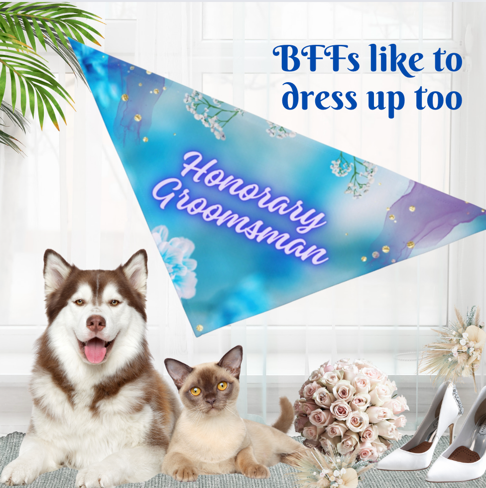 Turquoise Blue "Honorary Groomsman" Pet Bandana, Bridal, Engagement Wedding Themed Pet Attire, Cat Dog Pet Lover Gift for Bride or Groom