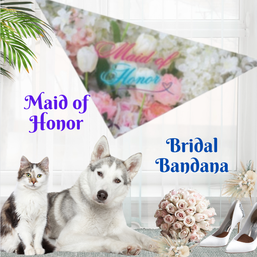 Creamy Floral "Fluffy Flowergirl" Pet Bandana, Bridal Shower Engagement Party, Gift For CatLady Dog Mom Bride