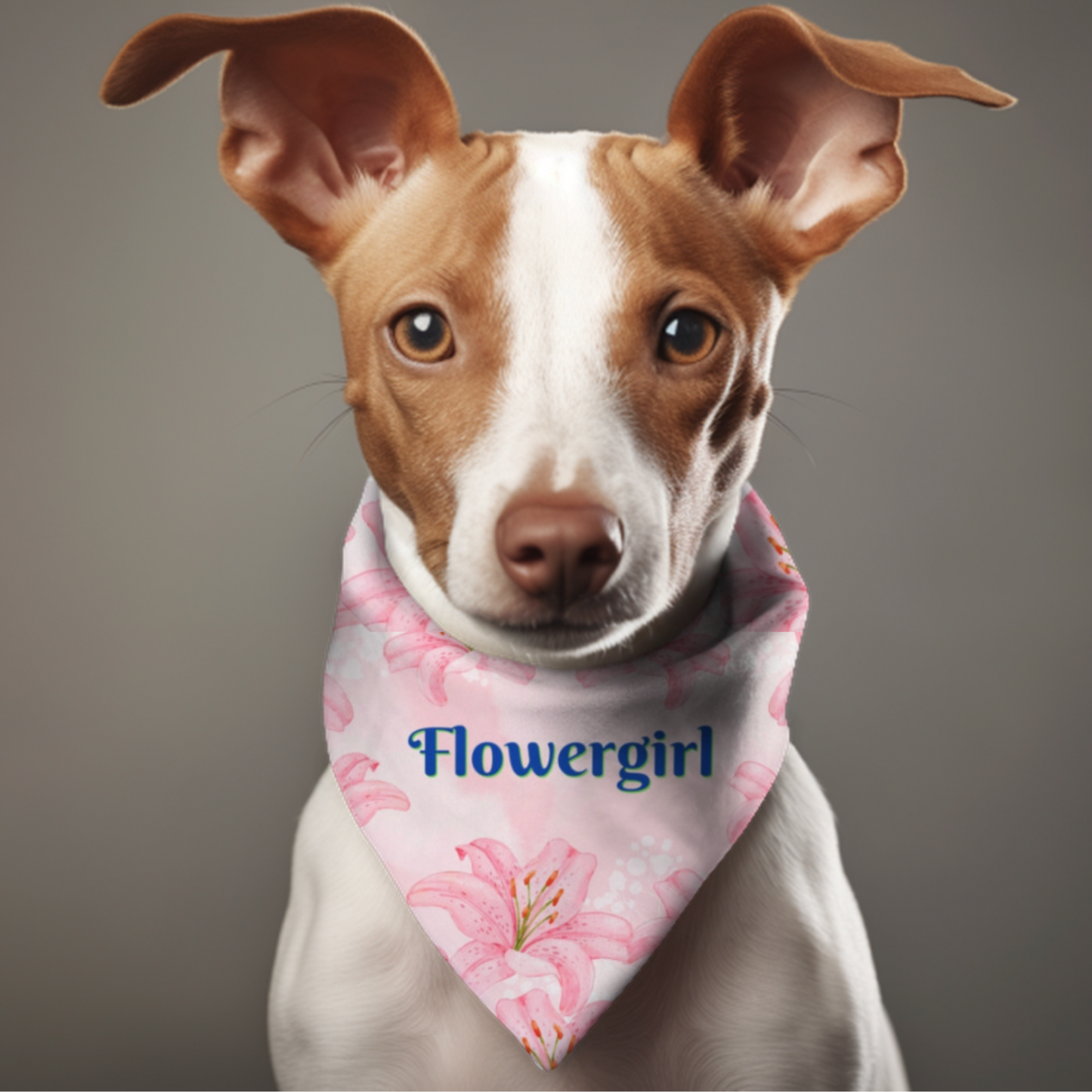 Bridal Bandana COLLAR with Pink Hibiscus "FLOWERGIRL" Style, Engagement Party, Wedding, Cats, Dogs, 4 Sizes