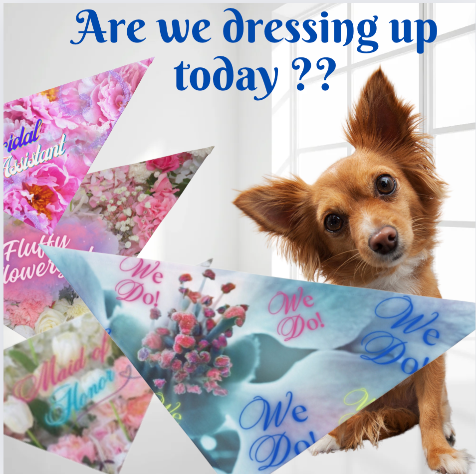 Bridal Pet Bandana with Fun "We Do" Design, Bridal Engagement Wedding Gift, Cat Dog Partywear, Cat Lady Pet Lover Gift