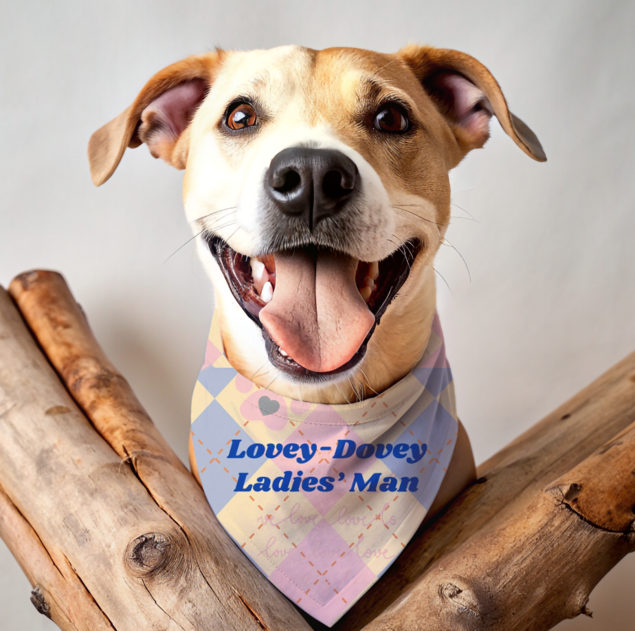 Preppy Yellow and Blue Pet Bandana with "Lovey-Dovey Ladies' Man" Argyle Pattern, Fashionable Pet Accessory, Dog Mom Gift