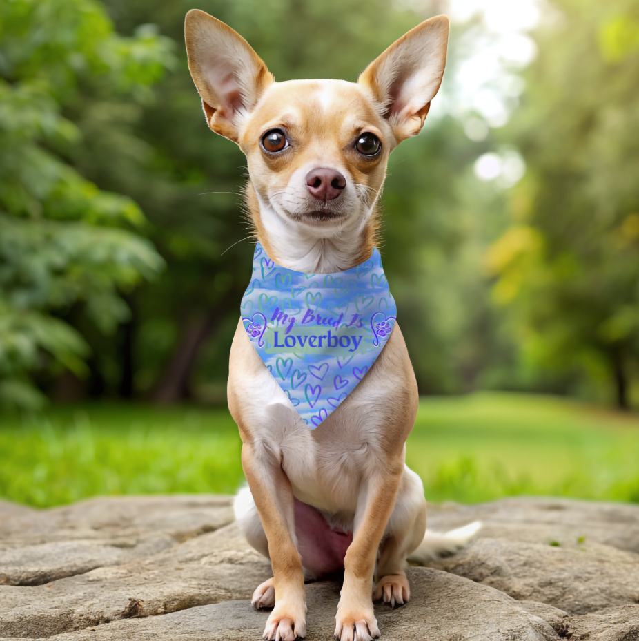 Blue and Purple Hearts "My Breed is Loverboy" Pet Bandana, Dog or Cat Partywear, Great Cat Lady Dog Mom Gift