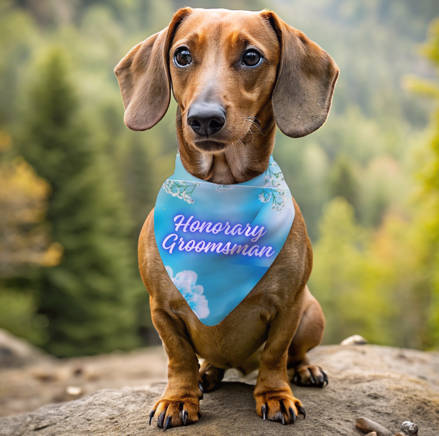 Turquoise Blue "Honorary Groomsman" Pet Bandana, Bridal, Engagement Wedding Themed Pet Attire, Cat Dog Pet Lover Gift for Bride or Groom