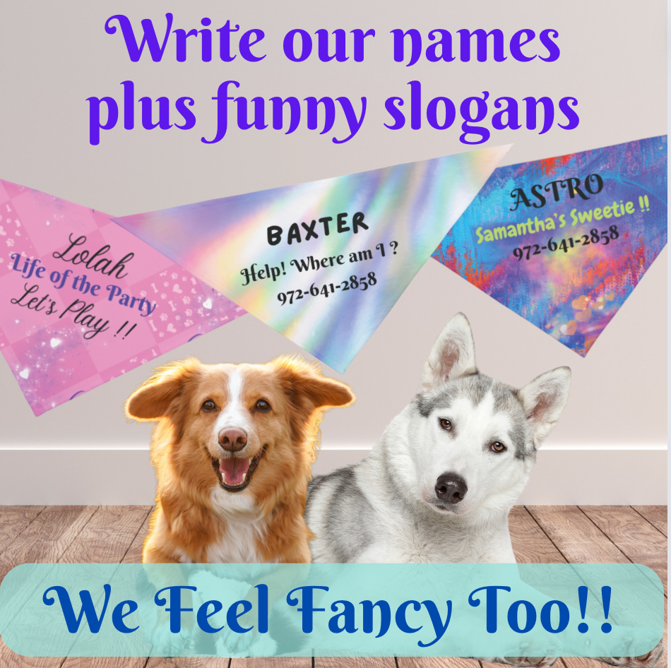 Vibrant Multi-Colored Customizable Pet Bandana, Design, Personalize with Dog & Human Names, "Samantha's Sweetie" or Something Different, Personal Pet Lover Dog Mom Gift, Special Occasion Birthday Gift for Mom