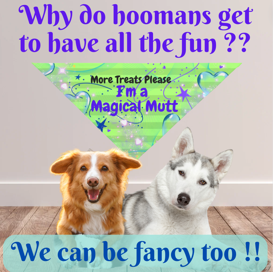 Pink Argyle Customizable Pet Bandana, Add Your Dog's Name for a Personalized "Life of the Party, Let's Play" Pet Accessory, Perfect Pet Lover Dog Mom Gift