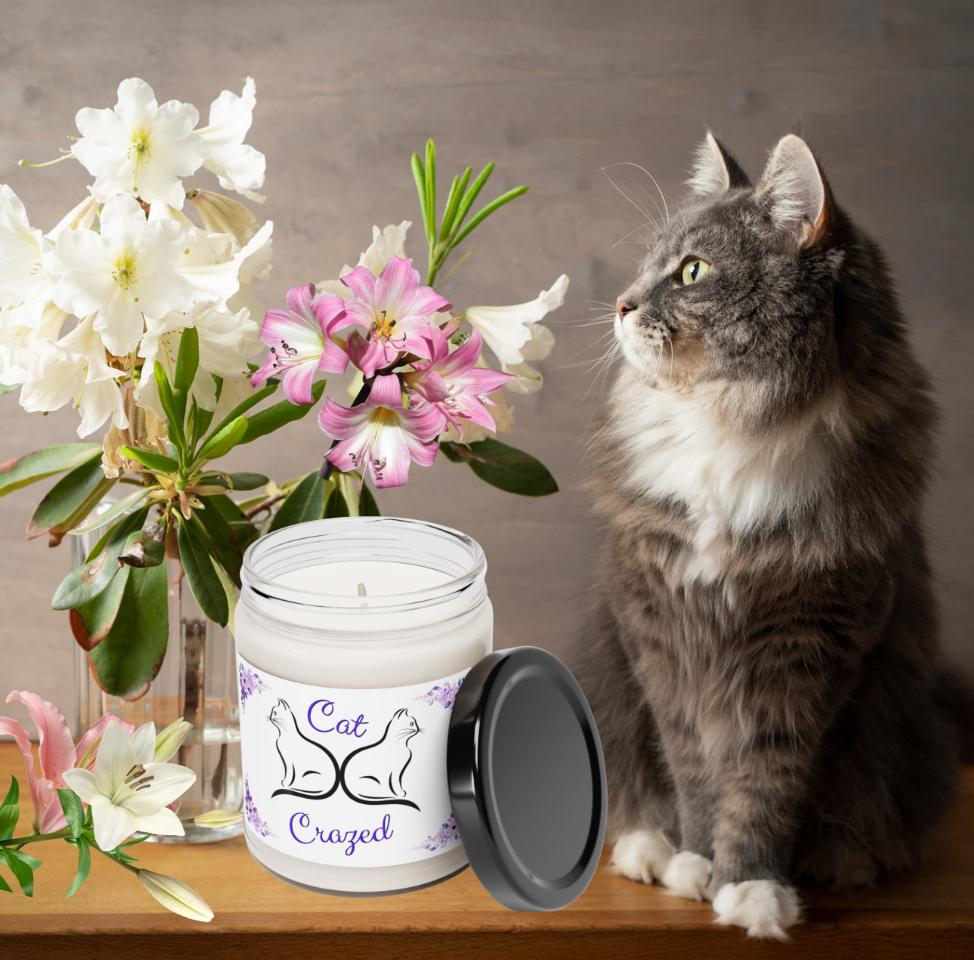 Scented Soy Candle, Cool Cat "Don't Disturb My Cattitude" Design, Cat Lover Pet Lover Mom Gift, Kitchen Home Office Decor, Four Fragrances, 9oz