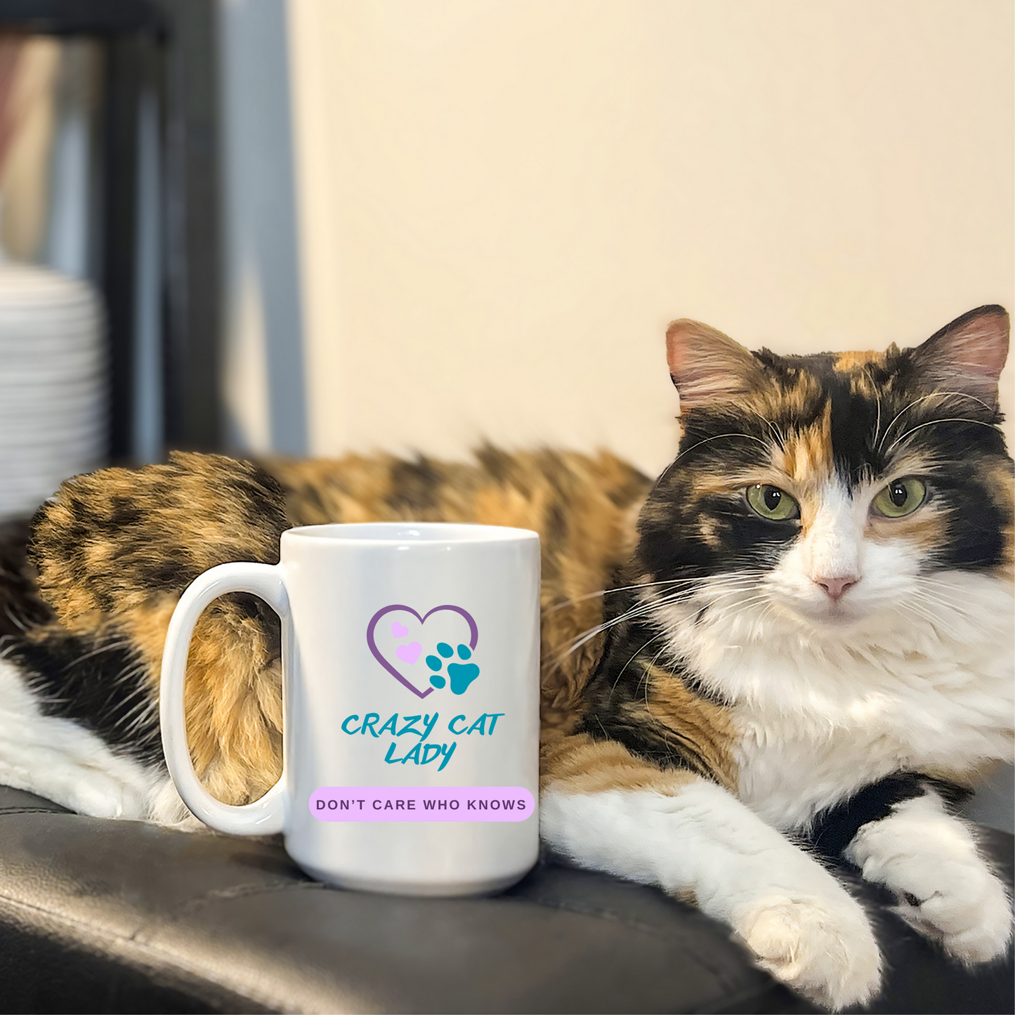 Pet-Lover Patio Pillow, "Crazy Cat Lady/Don't Care Who Knows"" Design, UV- and Mildew-Resistant