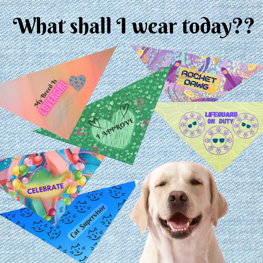 Fun "King of Chaos" Striped Pet Bandana, Partywear for Doggy Daycare, Dog Park, Parties, Pet Lover Dog Mom Gift
