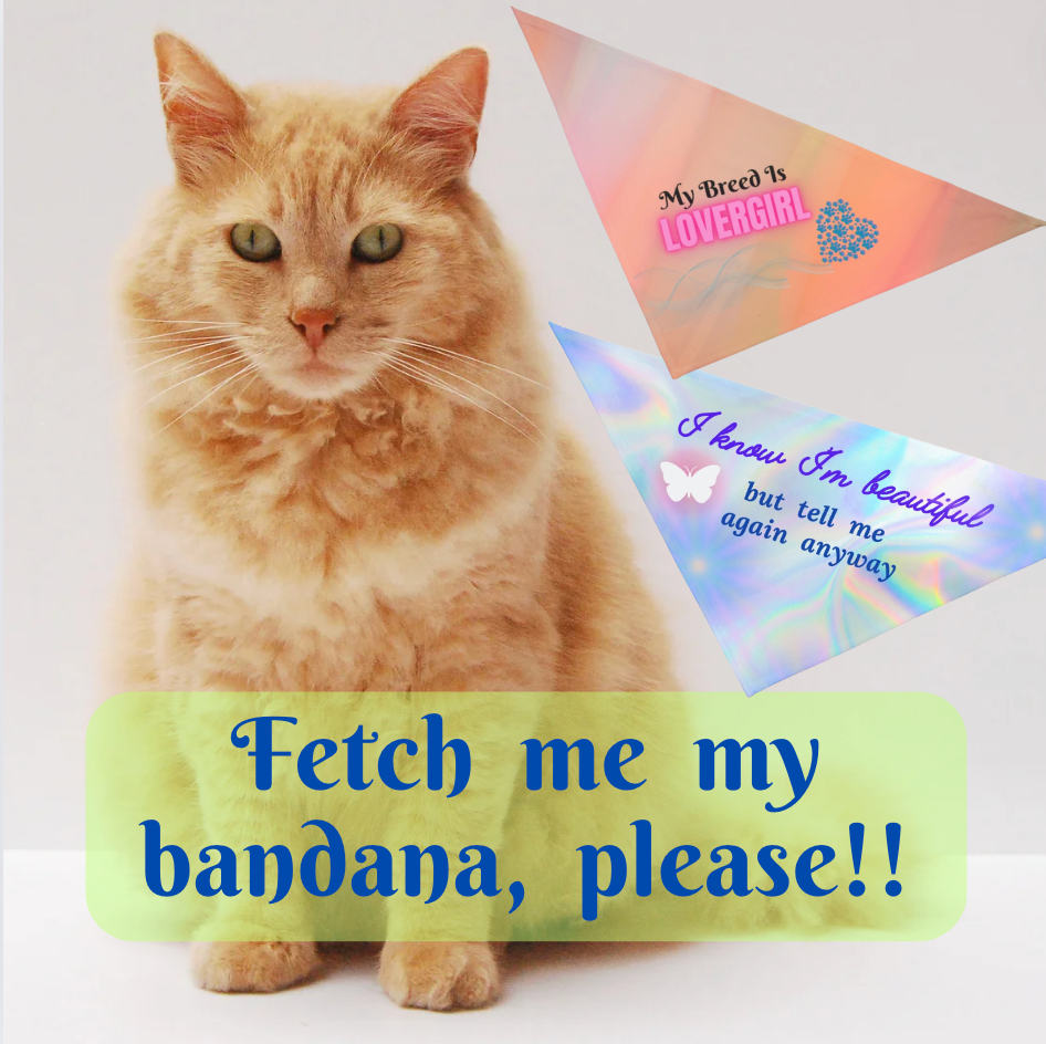 Sweet "My Breed Is Lovergirl" Pet Bandana, Orange with Heart and Pawprints, Animal Lover Cat Lady Dog Mom Gift