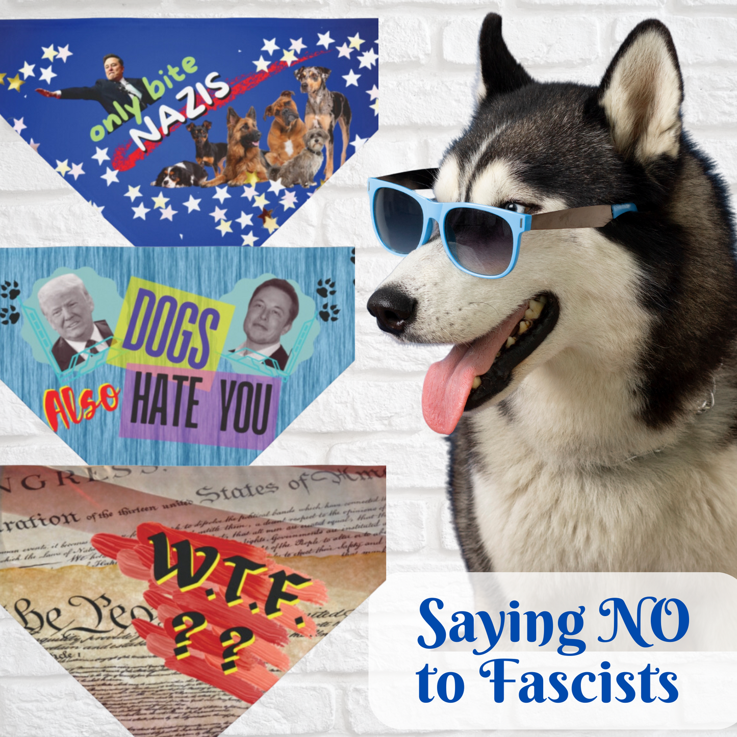 Fun Political Pet Bandana With Humorous "Canadumb" Slogan, Bright Orange Style, Great Gift For Pro-Democracy Dog Moms