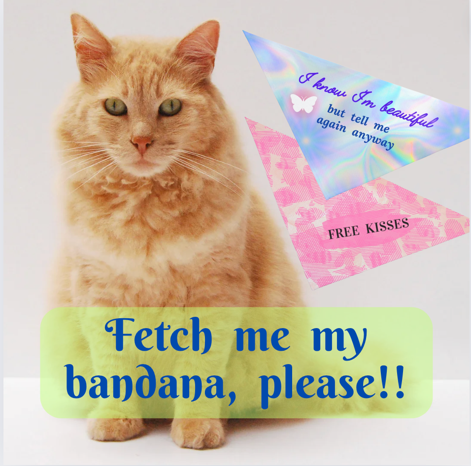 Whimsical "I Know I'm Beautiful" Pet Bandana, Blue Purplish Style, Dog Mom Cat Lady Gift