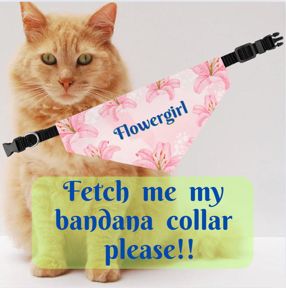 Bridal Bandana COLLAR with Pink Hibiscus "FLOWERGIRL" Style, Engagement Party, Wedding, Cats, Dogs, 4 Sizes