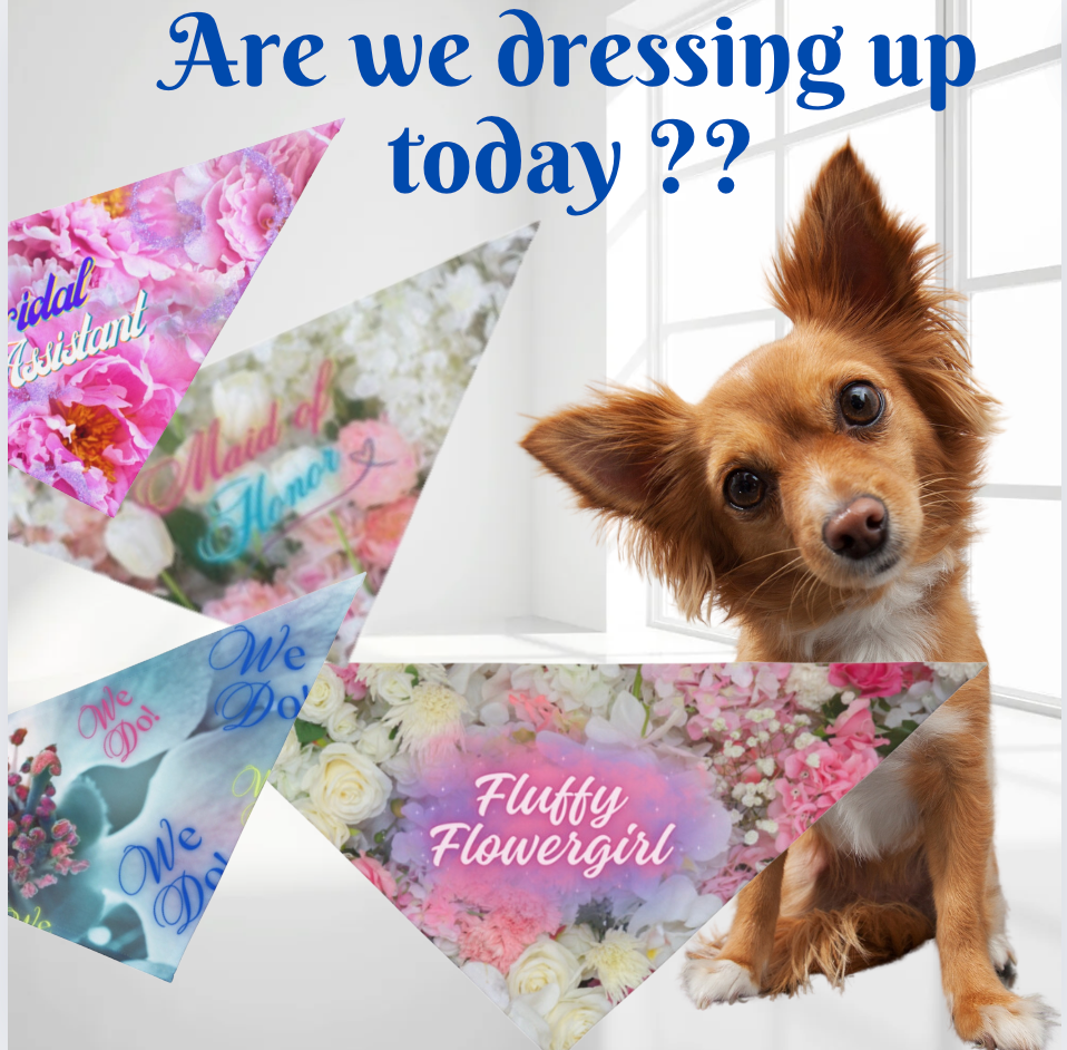 Creamy Floral "Fluffy Flowergirl" Pet Bandana, Bridal Shower Engagement Party, Gift For CatLady Dog Mom Bride
