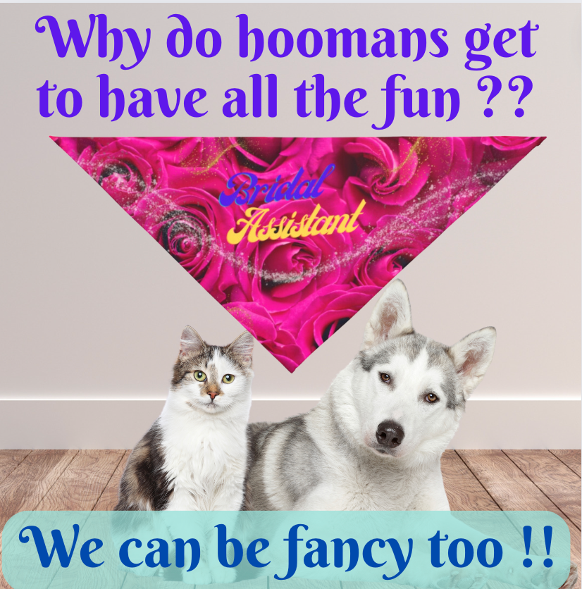 Vibrant Fushia Floral "Bridal Assistant" Pet Bandana, Bridal Engagement Wedding Botanical Print, Pet Lover CatLady Gift For Bride and Groom