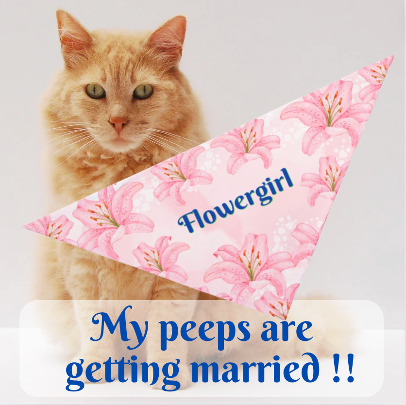 Pink Hibiscus "Flowergirl" Bridal Pet Bandana, Engagement Wedding Partywear for Cats Dogs, Pet Lover Gift For Bride, Groom, CatLady Dog Mom