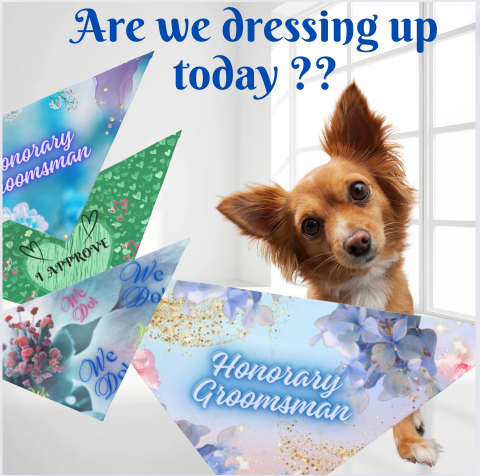 Turquoise Blue "Honorary Groomsman" Pet Bandana, Bridal, Engagement Wedding Themed Pet Attire, Cat Dog Pet Lover Gift for Bride or Groom