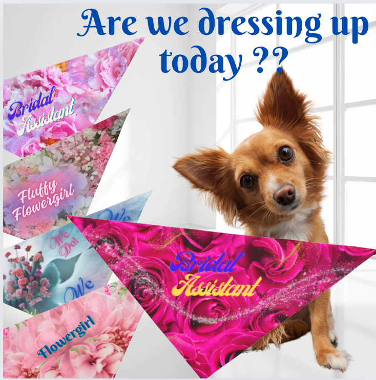 Vibrant Fushia Floral "Bridal Assistant" Pet Bandana, Bridal Engagement Wedding Botanical Print, Pet Lover CatLady Gift For Bride and Groom