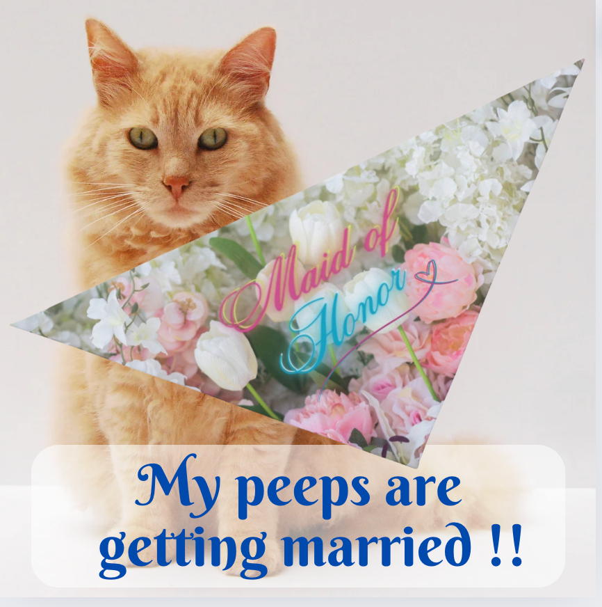 Bridal Pet Bandana with Floral Pastel "Maid of Honor" Design, Engagement Wedding Parties, Pet Lover Bride, Groom Dog Cat Mom Gift