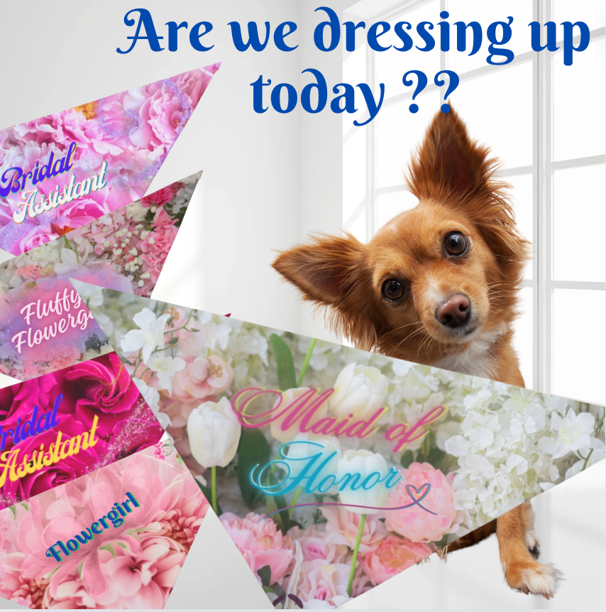 Colorful Floral "Bridal Assistant" Decorative Pet Bandana, Cat Dog Partywear, Engagement Wedding CatLady Dog Mom Gift For Bride