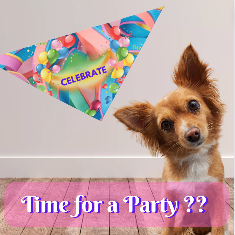 Party Pet Bandana with Colorful "Celebrate" Design, Bright Ribbons and Balloons Birthday Party Design, Special Occasion Pet Apparel Dog Mom Gift