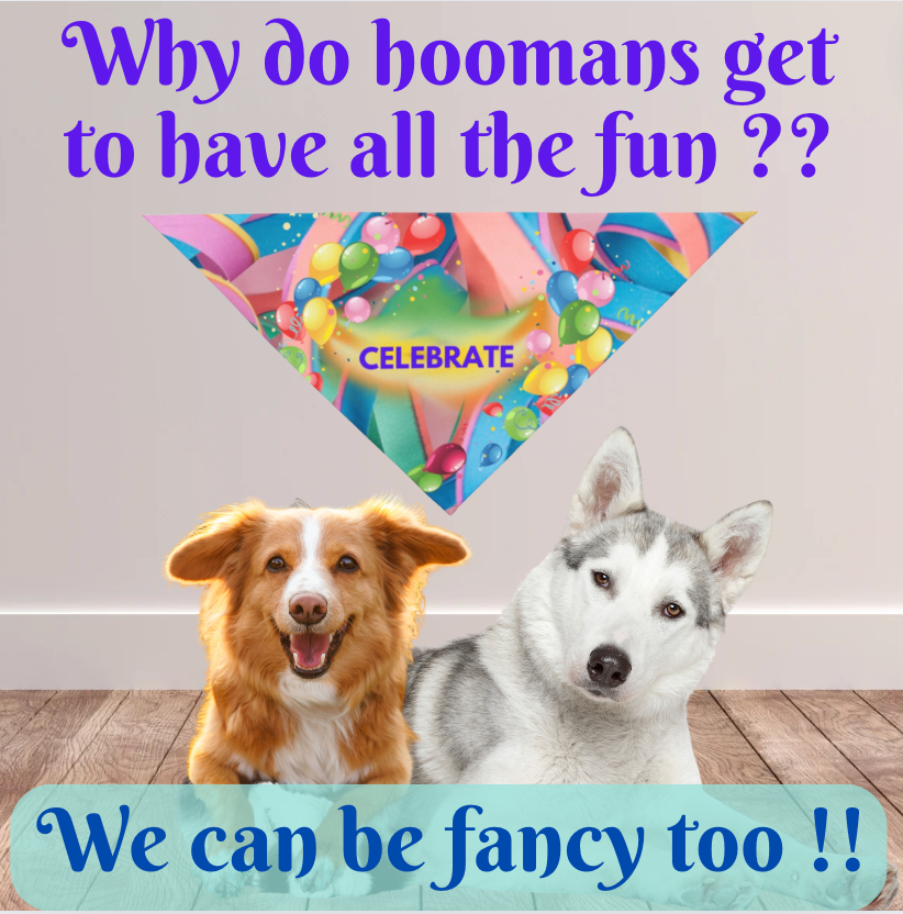 Party Pet Bandana with Colorful "Celebrate" Design, Bright Ribbons and Balloons Birthday Party Design, Special Occasion Pet Apparel Dog Mom Gift