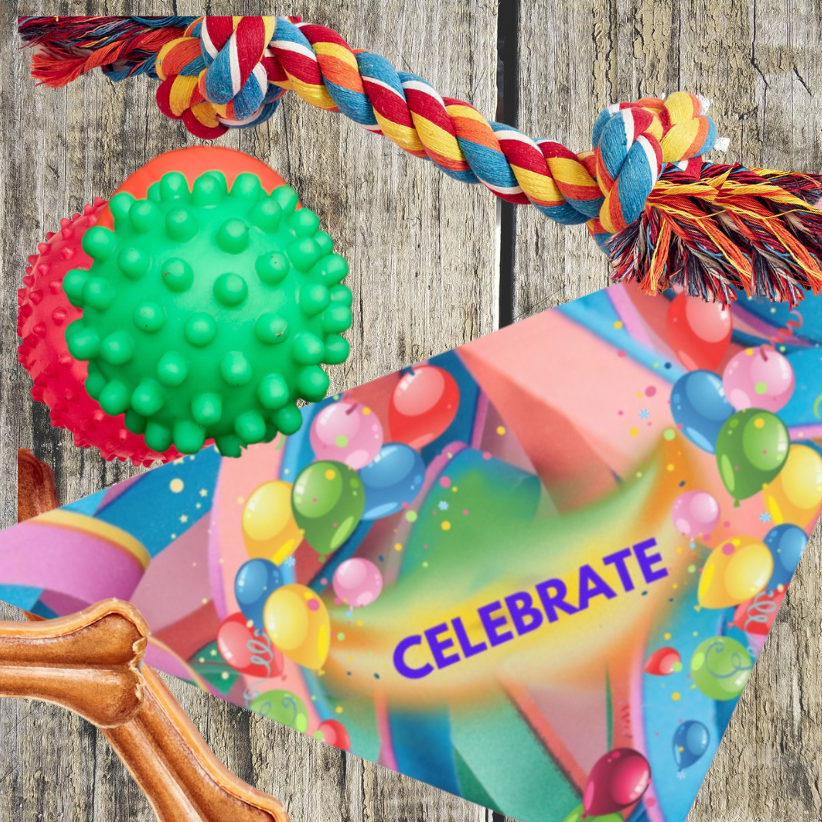 Party Pet Bandana with Colorful "Celebrate" Design, Bright Ribbons and Balloons Birthday Party Design, Special Occasion Pet Apparel Dog Mom Gift