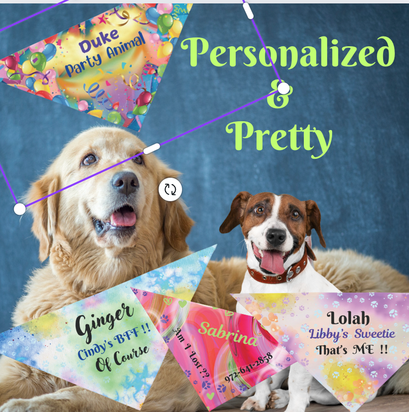 Festive Customizable "Party Animal" Pet Bandana with Fun Balloons & Streamers Design, Personalize Text, Special Occasion Birthday Pet Fashions, Pet Lover Dog Mom Gift