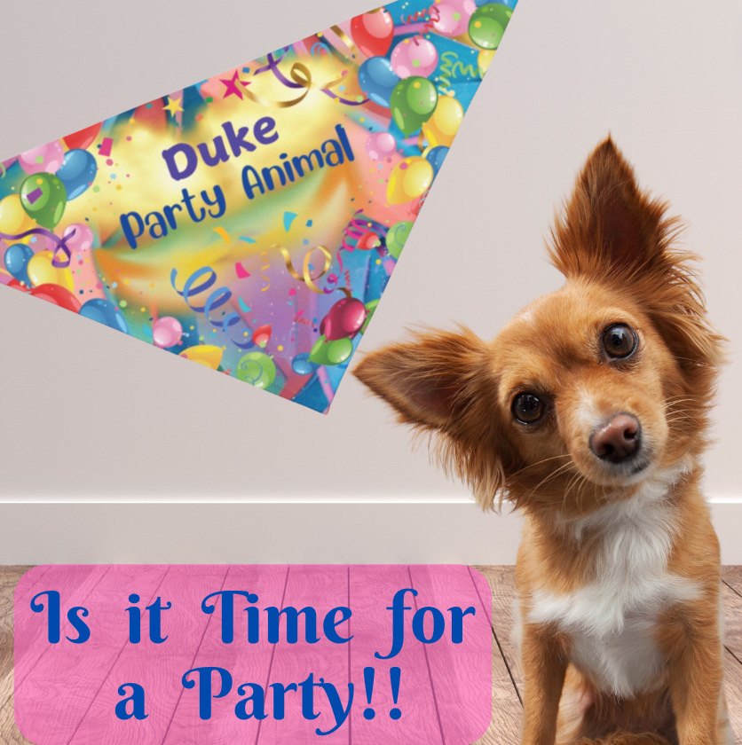 Festive Customizable "Party Animal" Pet Bandana with Fun Balloons & Streamers Design, Personalize Text, Special Occasion Birthday Pet Fashions, Pet Lover Dog Mom Gift