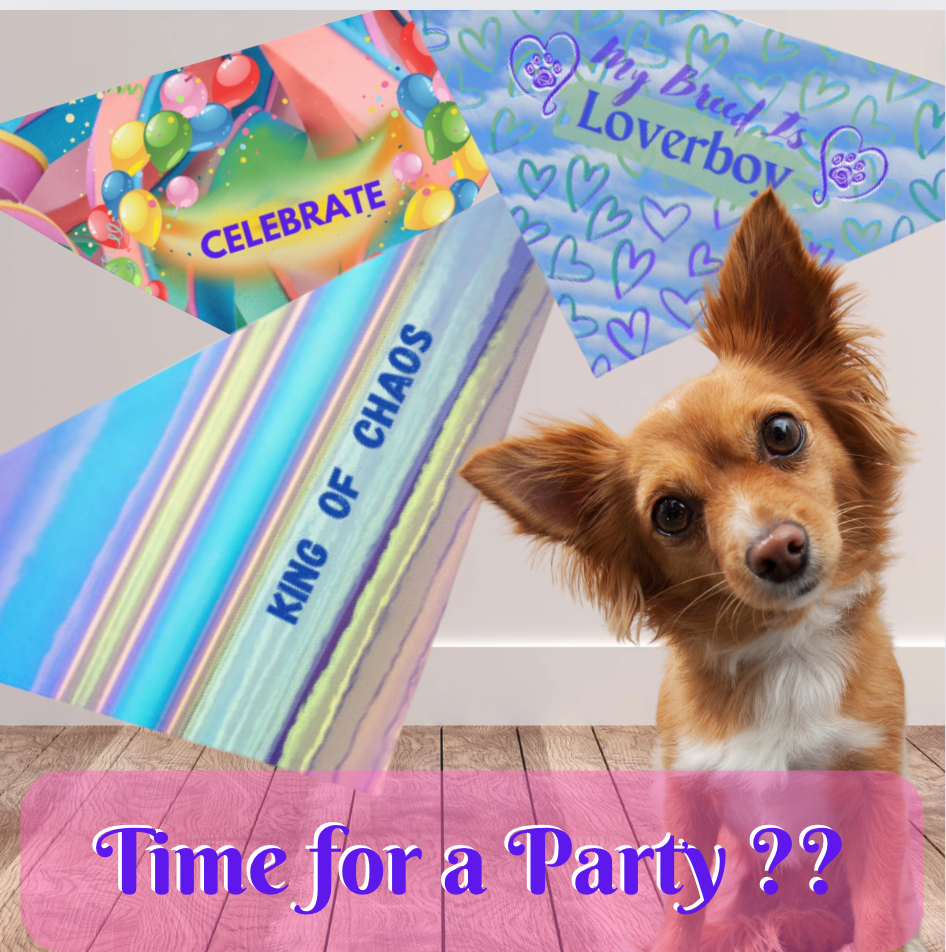 Fun "King of Chaos" Striped Pet Bandana, Partywear for Doggy Daycare, Dog Park, Parties, Pet Lover Dog Mom Gift