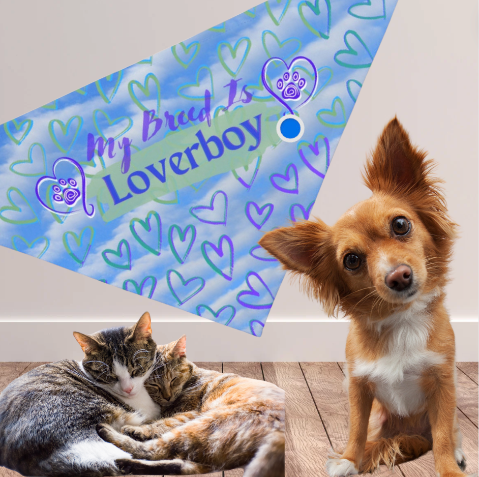 Blue and Purple Hearts "My Breed is Loverboy" Pet Bandana, Dog or Cat Partywear, Great Cat Lady Dog Mom Gift