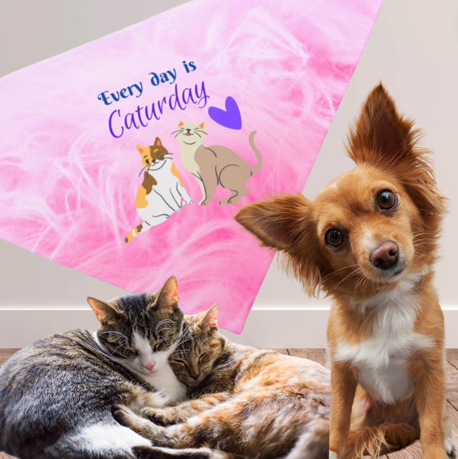 Hot Pink "Every day is Caturday" Party Pet Bandana, Animal Lover Dog Cat Mom Gift