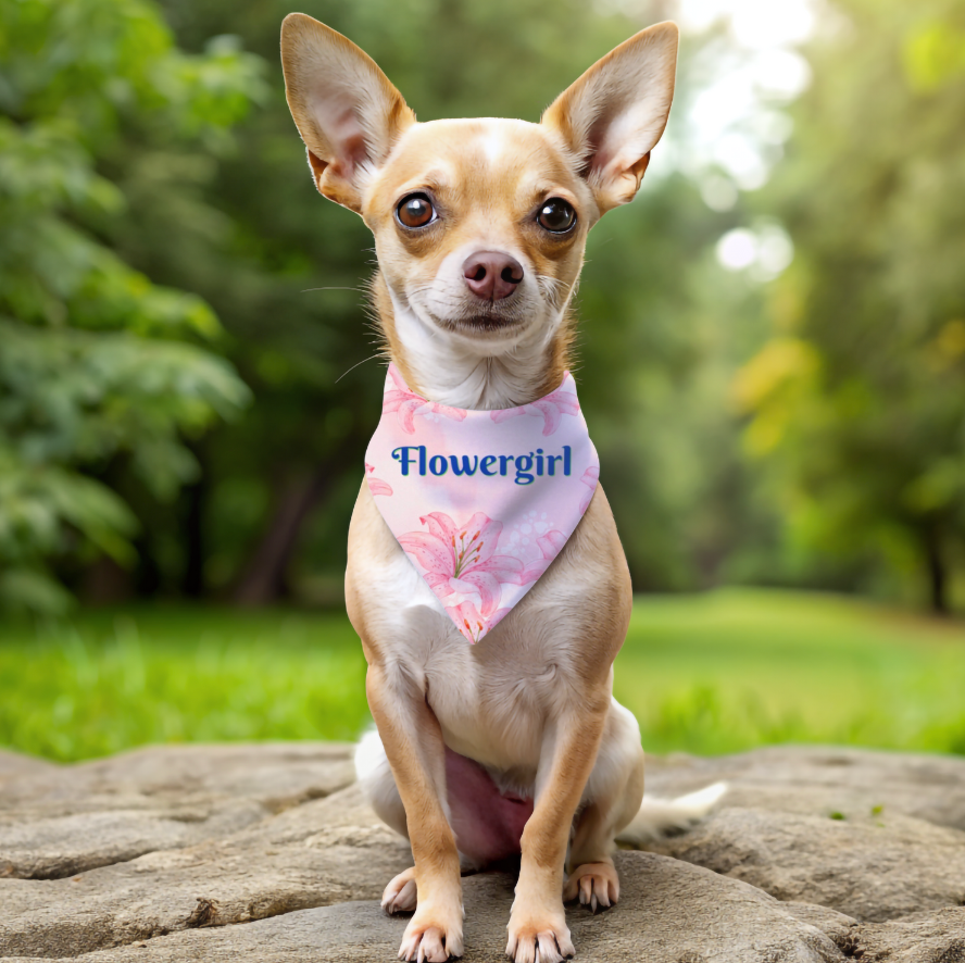 Bridal Bandana COLLAR with Pink Hibiscus "FLOWERGIRL" Style, Engagement Party, Wedding, Cats, Dogs, 4 Sizes