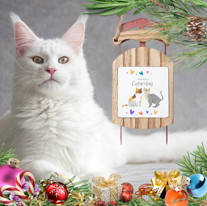 Adorable "Every Day is Caturday" Cat Lover Sled Ornament, Christmas and Year-Round Cat Lady Mom Gift, Single or Set of 5, 10