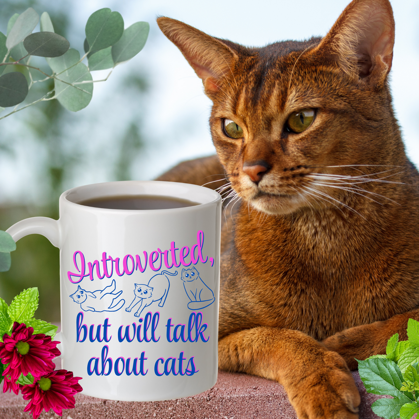 CatLover Mug With Fun "Introverted But Will Talk About Cats" Slogan, CatLady Pet Lover Gift, Ceramic, 15oz