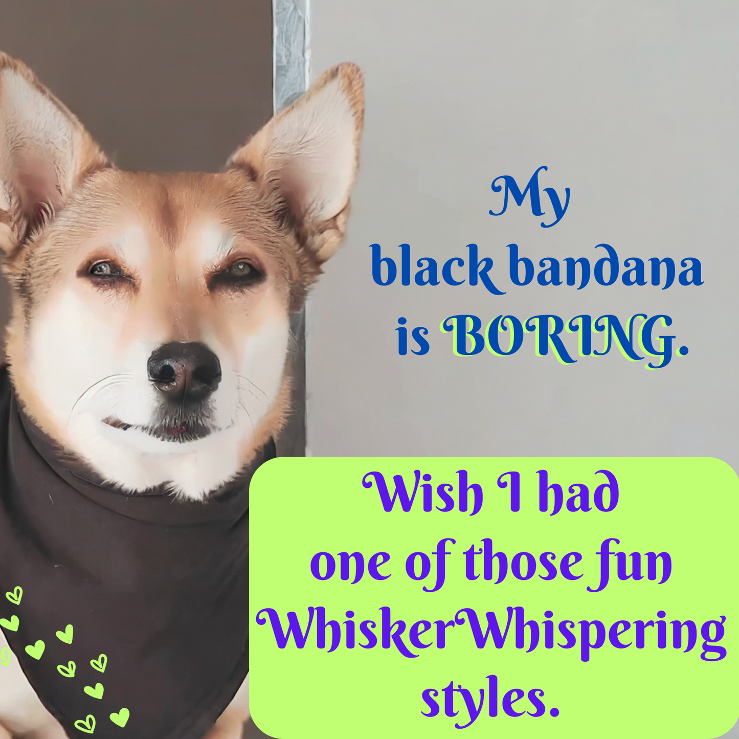 FurryFashionista Pet Bandana - Striped "King of Chaos" Slogan