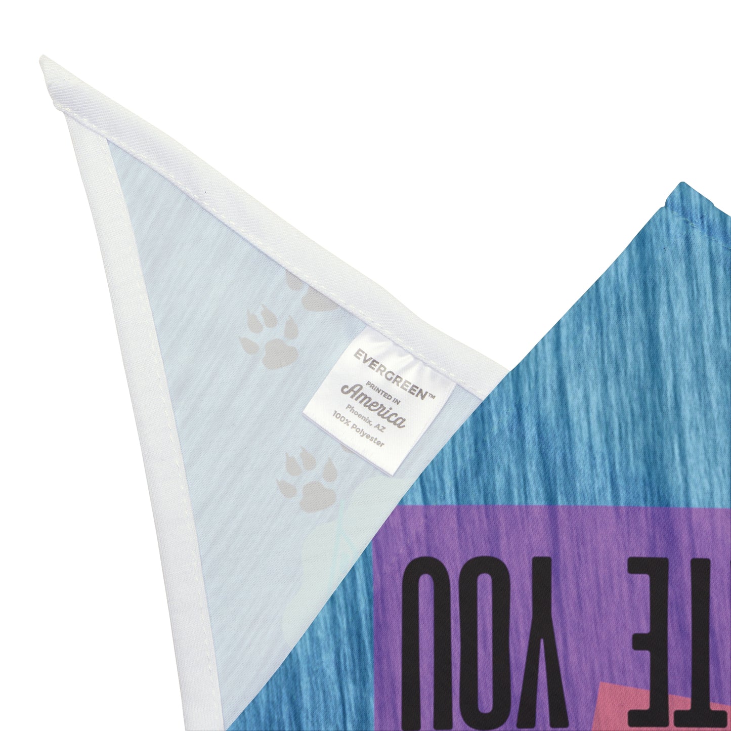 Political Pet Bandana With Funny "Dogs Also Hate You Slogan Featuring Unpopulat Co-Presidents, Perfect For Anti-Fascism, Pro-Democracy Gatherings