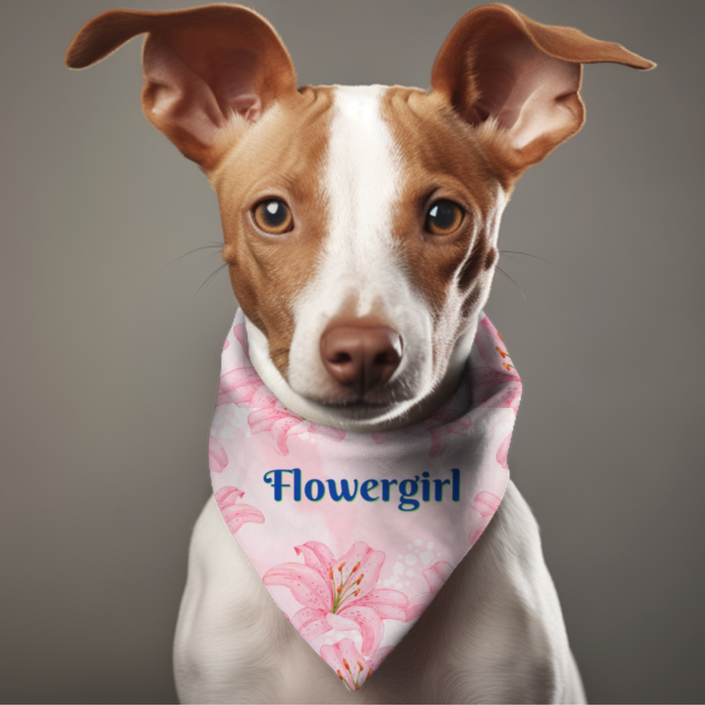 FurryFashionista Bridal Bandana COLLAR with Easy-On & Off Buckle - Pink "FLOWERGIRL" Style - Pink Hibiscus Motif
