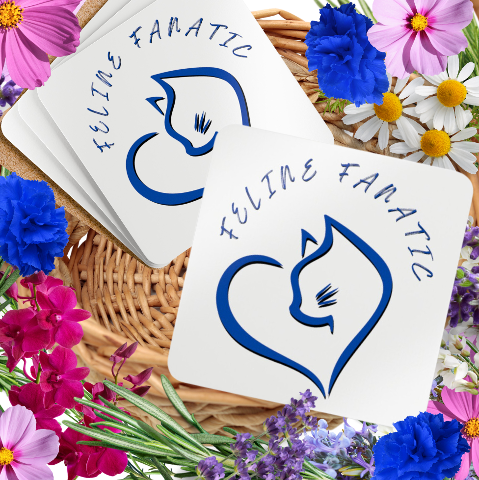 Cat-Lady Coasters, Blue "Feline Fanatic" Sublimation Design, Pet Themed Kitchen Decor Cat Lover Mom Gift