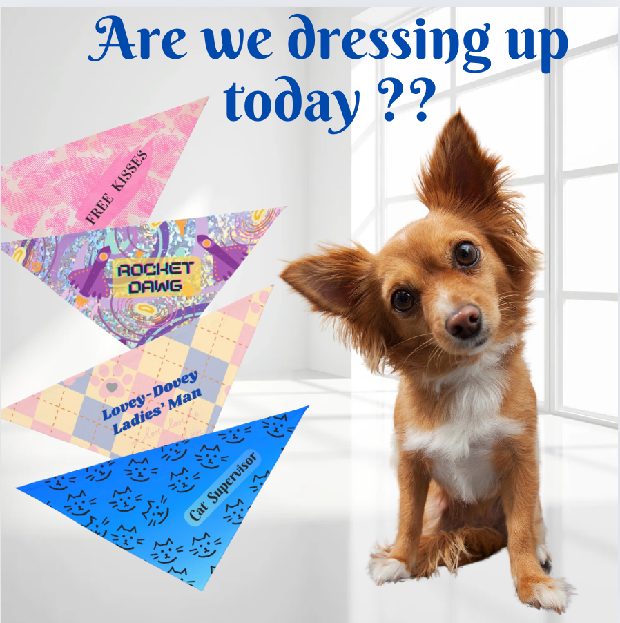 Bright Pink "Free Kisses" Pet Bandana, Fun Dog-Cat Partywear, Dog Mom CatLady Birthday Gift