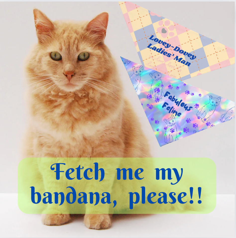 Small Cat Bandana with Fun "Fabulous Feline" Purple Pawprints Design, Pet Accessory, Cat Lady Cat Mom Gift